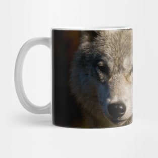 Arctic Wolf Mug